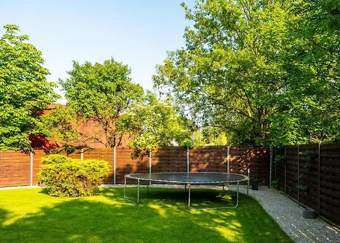 B2 Morsowanie I Daire *